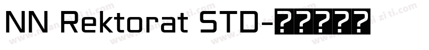 NN Rektorat STD字体转换